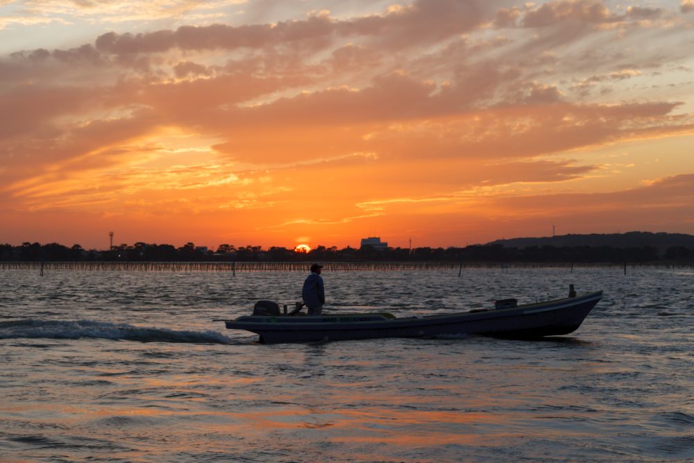 【Weekday only】 Executive "ADULTS Trip" with people over 60 years old